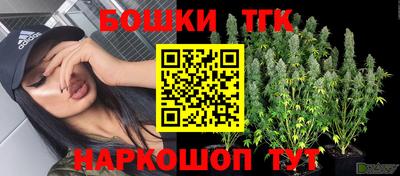 индика Будённовск