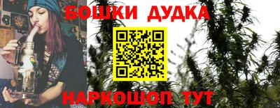 индика Будённовск